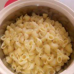 White macroni A picture of White macroni.