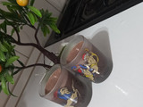 شیرکاکائو سه سوته