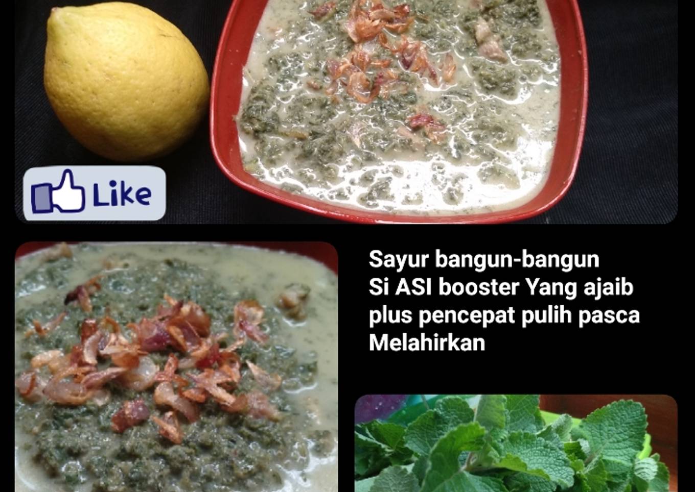 Sayur bangun-bangun