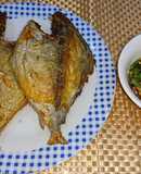 Cá chim chiên chấm mắm ngò