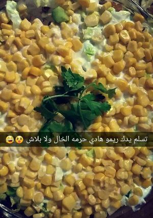 صورة لوصفة السلطة الفرنسيه