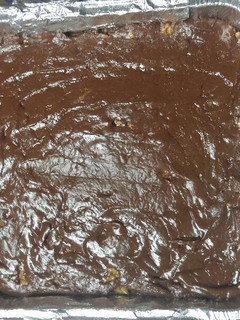 A picture of Fudge.