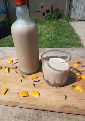Una foto de Rico y tradicional trago chileno, "Cola de mono"😍