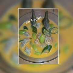 A picture of Terong masak santan.