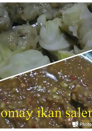 Foto resep Siomay Ikan Salem