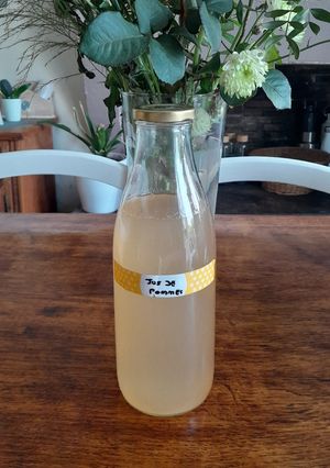 Une photo de Jus d'épluchures de pommes