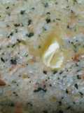 Nasi Goreng Salmon with Kale Chips (mpasi 9bln)