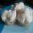 Bolu kukus tepung beras
