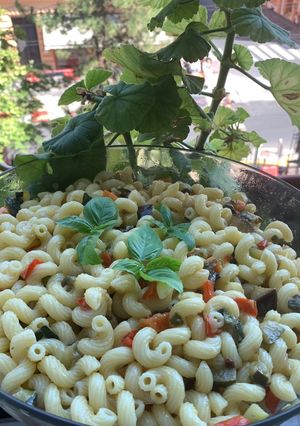 A picture of Cold Pasta with Summer Vegetables.