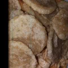 รูปของ Cireng Nasi
