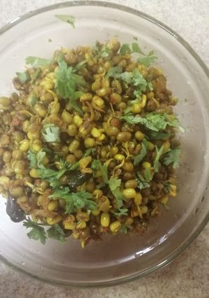 A picture of Sprout moong veg.