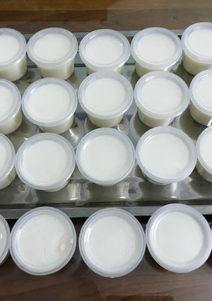 Hình của món Yogurt sữa chua trái cây.