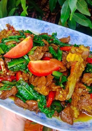 Foto resep Tumis Daging