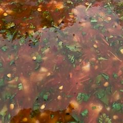A picture of Chad's salsa.