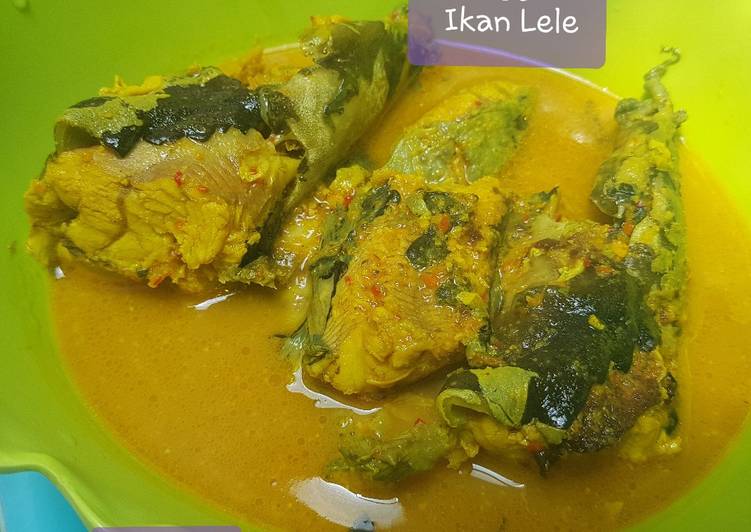 Ganggan Ikan Lele
