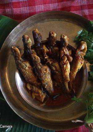 ট্যাংরা মাছের ঝাল(tyangra maacher jhaal recipe in Bengali) রেসিপির প্রধান ছবি