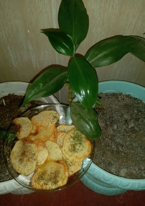 عکسی از دستور چیپس خونگی