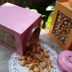 A picture of Kacang Bawang3.