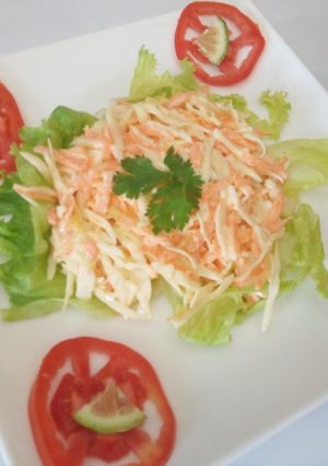 A picture of French Coleslaw Salad.