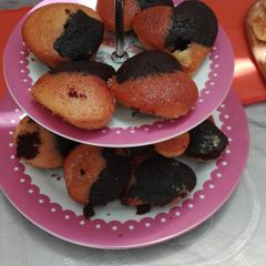 A picture of Vanilla and Chocolate Muffins.