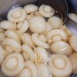 Chè nấm mỡ