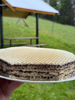 Фото Вафельний торт з хвойною ізюминкою.