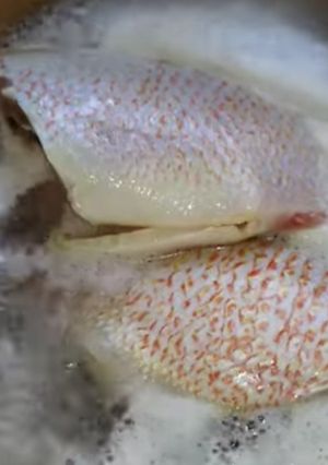尼羅紅魚湯 的食譜成品照片