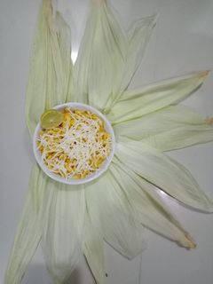 ચીઝ મસાલા કોનૅ રેસીપી મુખ્ય ફોટો