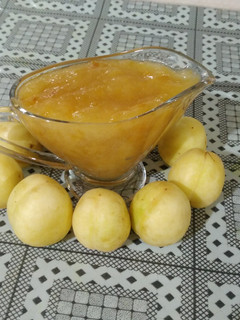 عکسی از دستور سُس زردآلو