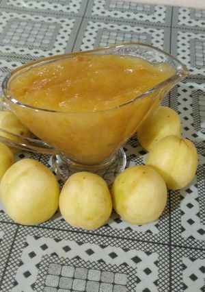 عکسی از دستور سُس زردآلو