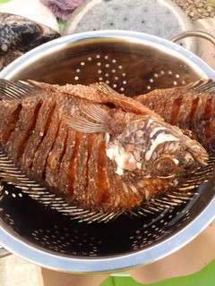 A picture of Deep fried fish.