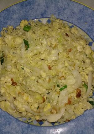Foto resep Orak Arik Kubis dan Telur (Biskotel)