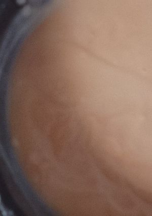Una foto de Postre