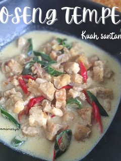 Foto resep Oseng Tempe Kuah Santan ✨