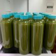 Jus Pokcoy Melon Nanas