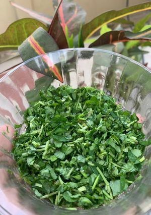 મેથી ભાજી નું સલાડ (Methi Bhaji Salad Recipe In Gujarati) રેસીપી મુખ્ય ફોટો