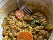 A picture of vegetarian curry