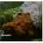 Ayam goreng Ciamis