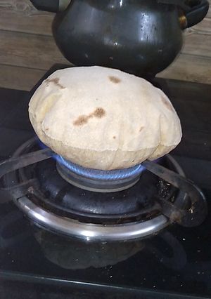 A picture of Roti.