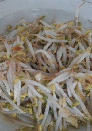 Foto resep Tumis Toge