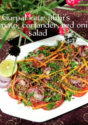 A picture of Tomato, coriander, red onion salad 🥗.