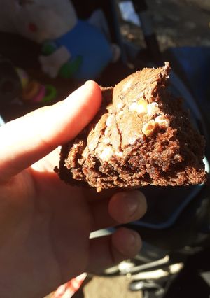 Una foto de Brownie (a mi manera)
