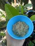 Bubur bandeng MPASI 9M+