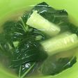 Sayur sawi lempah darat