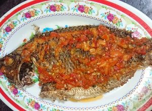 Hình của món Cá Rô Phi Chiên Sốt Cà.