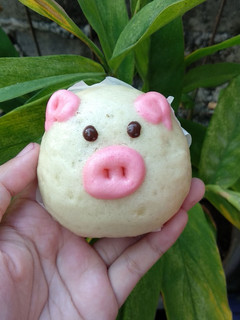 Foto resep Bakpao Karakter