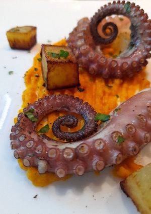 Foto di Polpo con patate su crema alle carote