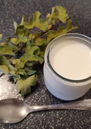 Une photo de Yaourt maison au citron à la yaourtière