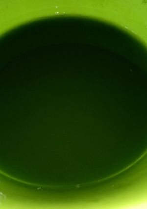 Foto resep Pewarna alami daun suji dan daun pandan