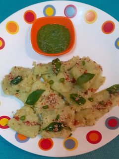 દૂધી ના ઢોકળા રેસીપી મુખ્ય ફોટો
